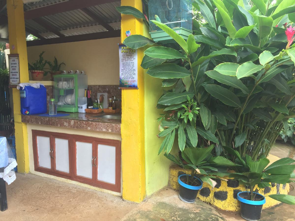 Amelia Homestay Puerto Princesa Buitenkant foto